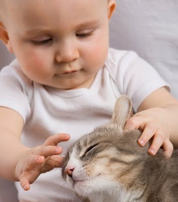 Дети и кошки. Новорожденный ребенок и кошка. Ребенок и кошка в доме.