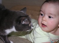 Новорожденный ребенок и кошка